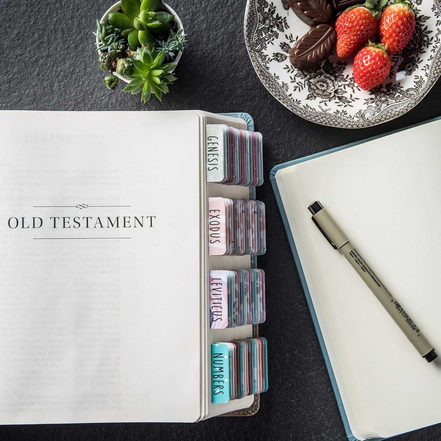 Beautiful Bible Tabs (9.99 Value)