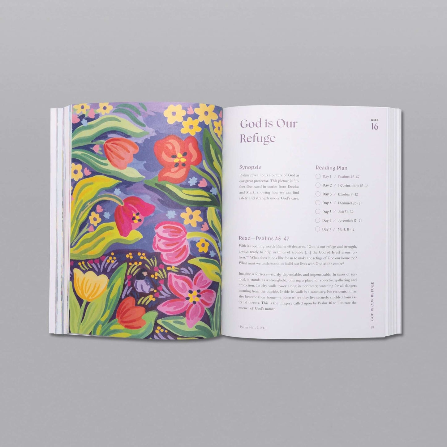 A Beautiful Year in the Bible Study - Vol 1