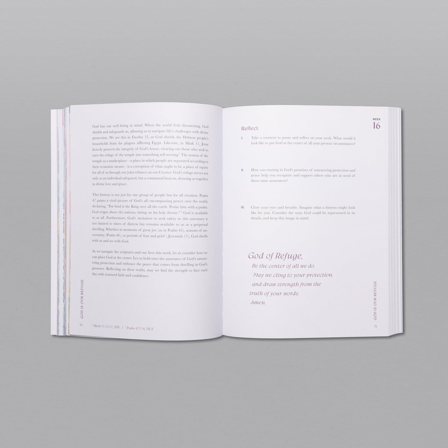 A Beautiful Year in the Bible Study - Vol 1