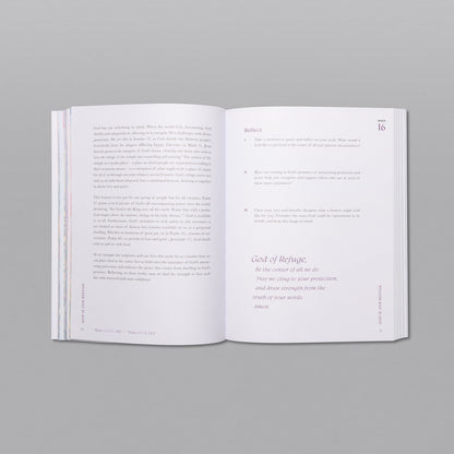 A Beautiful Year in the Bible Study - Vol 1